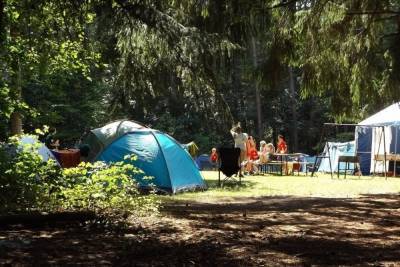 Откроют ли детские лагеря этим летом рассказали власти Новосибирской области