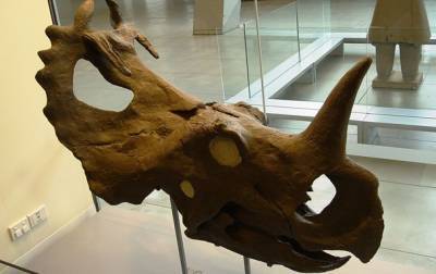 Ученые обнаружили рак костей в древнего динозавра