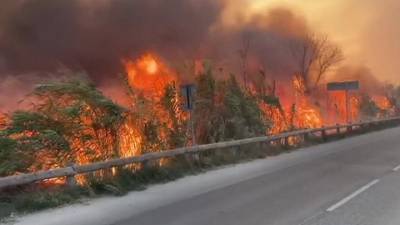 Канада и Франция оказались во власти мощных лесных пожаров