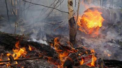 Аномальная жара и сильный ветер не позволяют справиться с природными пожарами в России