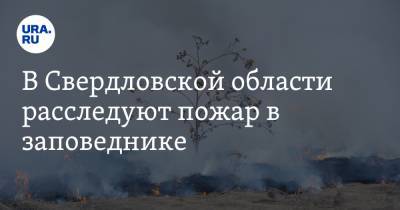В Свердловской области расследуют пожар в заповеднике. ВИДЕО