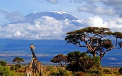 Открыты для полетов Танзания и Занзибар : что интересного увидят туристы​
