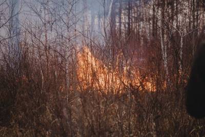 Забайкалец поджёг стог сена и выжег часть леса в Сретенском районе