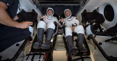 «Crew Dragon ожил»: астронавты рассказали об ощущениях от приземления