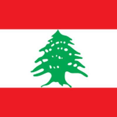 Свою солидарность с народом Ливана выражают во всем мире