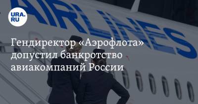 Гендиректор «Аэрофлота» допустил банкротство авиакомпаний России