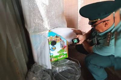 В Новороссийске таможенники задержали партию игровых автоматов с незаконно нанесенным логотипом Angry Birds