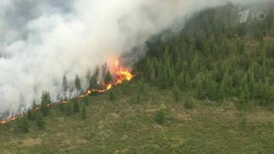 Природными пожарами охвачены Якутия, Югра, Курганская область и Чукотка