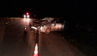 Пьяный водитель сбил семерых пешеходов в Республике Марий Эл