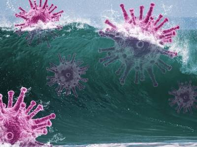 Более 700 тысяч человек во всем мире погибли от коронавируса