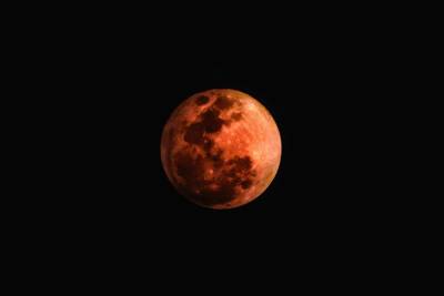 «Кровавую» Луну наблюдали жители Новосибирска