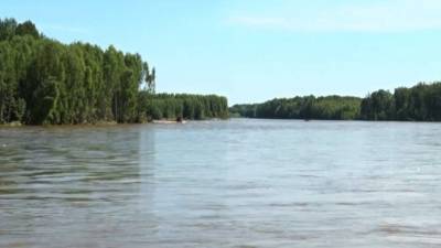 Загрязнение рек Приамурья экологи связывают с большим числом лицензий на добычу золота