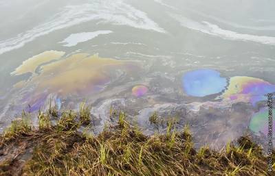 В водоемах в Норильске нашли нефтепродукты через месяц после ЧП на ТЭЦ