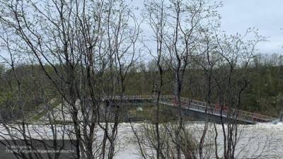 Минобороны: два человека пострадали при обрушении моста в ЕАО
