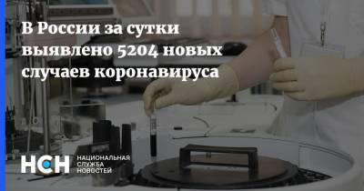 В России за сутки выявлено 5204 новых случаев коронавируса
