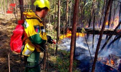 Площадь лесных пожаров в Югре сократилась втрое