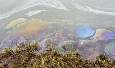 В водоемах Норильска остались нефтепродукты, несмотря на заявления о ликвидации ЧП