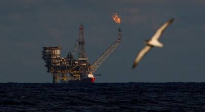 Впервые с марта: стоимость нефти превысила $45 за баррель