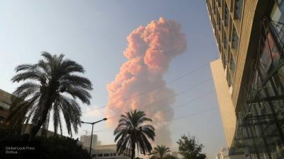 Токсичные вещества попали в атмосферу при взрыве в порту Бейрута