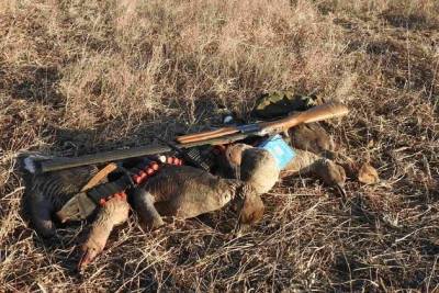 Следком проверит информацию о нападении браконьеров на егеря в Забайкалье