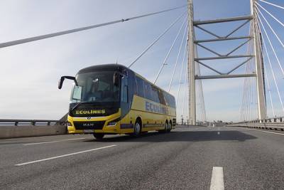 Ecolines запускает автобусное сообщение между Петербургом и Смоленском