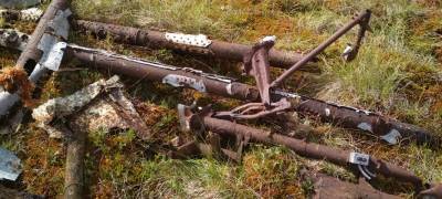 Фрагменты бомбардировщика нашли в одном из болот Карелии (ФОТО)