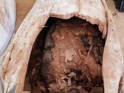 В колодце археологи нашли уникальные артефакты времен фараона Аменемхата III