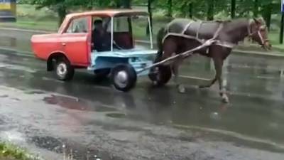 Симбиоз лошади и «Москвича» ездит по дорогам Украины.