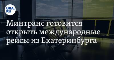 Минтранс готовится открыть международные рейсы из Екатеринбурга