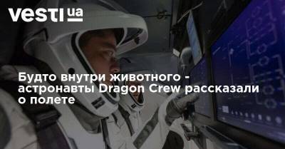 Будто внутри животного - астронавты Dragon Crew рассказали о полете
