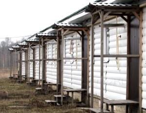 Замглавы Троснянского района взят под стражу по делу о жилье для сирот