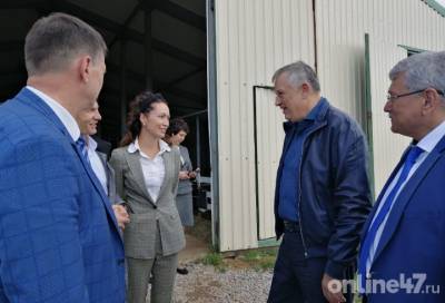 Александр Дрозденко познакомился с мясо-молочными овцами фермерского хозяйства в Ломоносовском районе Ленобласти