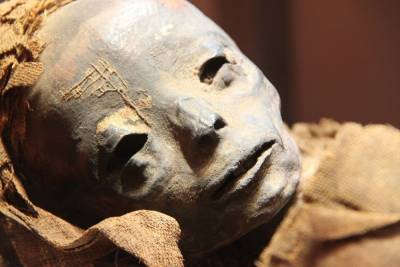 Под Саратовом найдена мумия