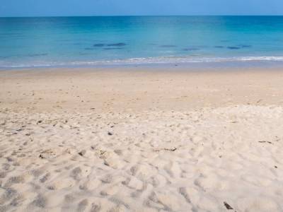 Глисты и патогенные грибы: эксперт рассказал об опасности пляжного песке