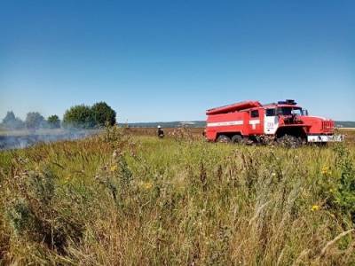 24 гектара пшеницы сгорело в Гагинском районе