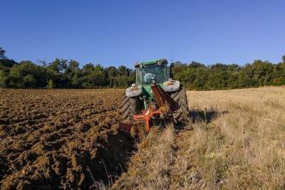 Район-лидер по урожайности зерновых назвали в Псковской области
