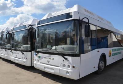 Первый автобус с кондиционером появится в Воронеже в августе