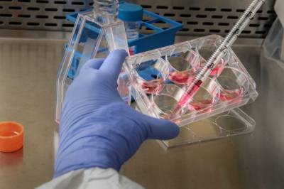 В США начали испытания лечения COVID-19 на основе антител