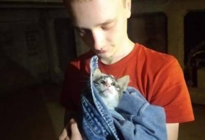 Из вентиляционной шахты в Купчино спасли котенка
