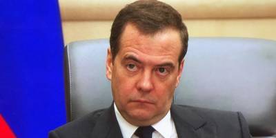Медведев заявил об ответственности диаспор за стычки их представителей в России