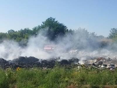 В Харьковской области горела свалка