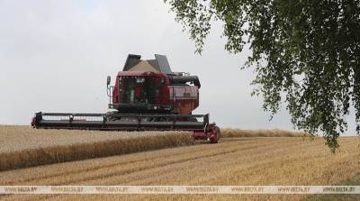 Аграрии Минской области намолотили 1 млн т зерна