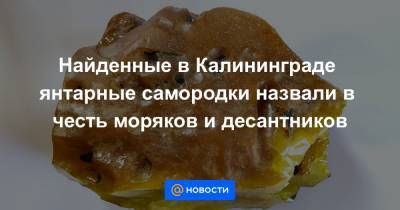 Найденные в Калининграде янтарные самородки назвали в честь моряков и десантников