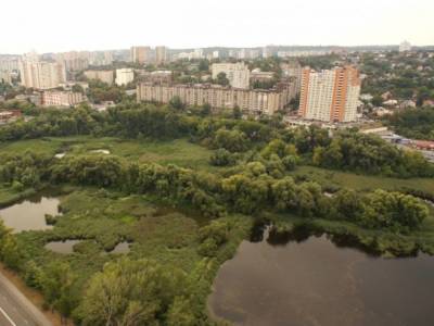 У Совских прудов в Киеве жители повредили новую дорогу из-за ее популярности