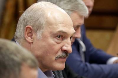 Правительство ФРГ сочло действия Лукашенко угрозе свободным выборам