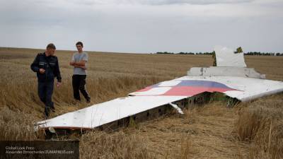 Антипов назвал ошибки голландцев в деле MH17, которые «на руку» России
