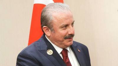 Спикер парламента Турции: Богатства Сирии принадлежат сирийскому народу