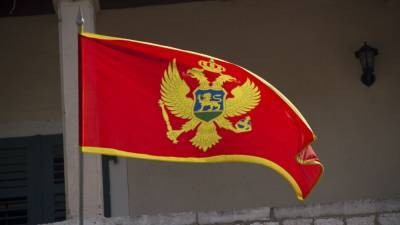 Президент Черногории заявил о желании укрепить отношения с Россией
