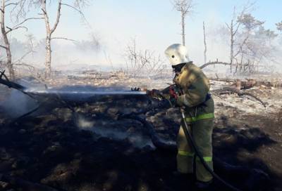 За сутки в России потушили 64 лесных пожара