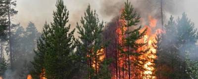 В Якутии обнаружено восемь новых очагов лесных пожаров